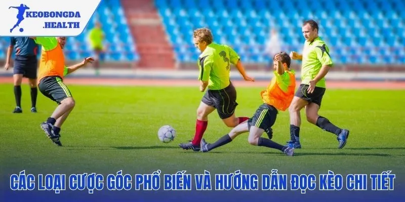 Hiểu các loại kèo phạt góc từ Tài Xỉu đến 1X2