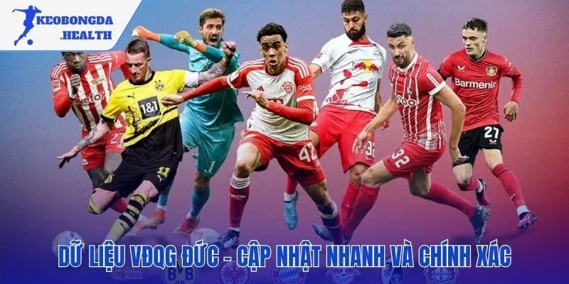 Tổng hợp dữ liệu giải VĐQG Đức nhanh chóng và chính xác