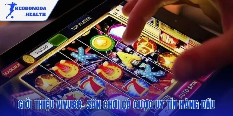 VIVU88 xây dựng uy tín trên nền tảng công bằng và an toàn