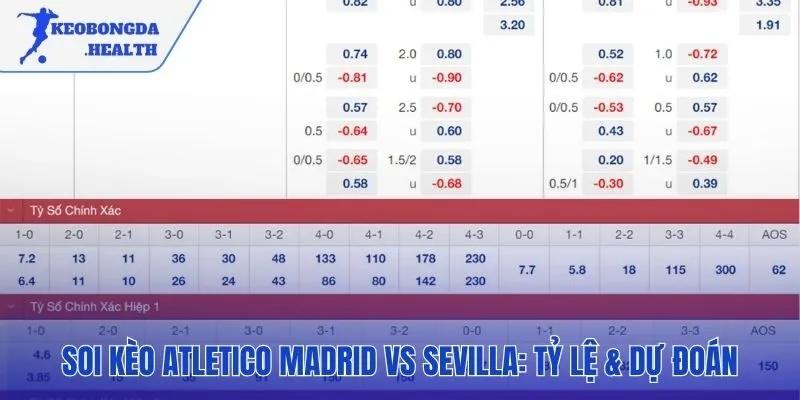 Tổng hợp các dự đoán và tỷ lệ cược đáng tin cậy nhất